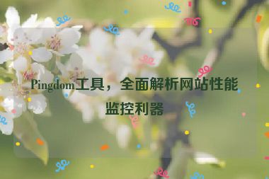 Pingdom工具，全面解析網(wǎng)站性能監(jiān)控利器