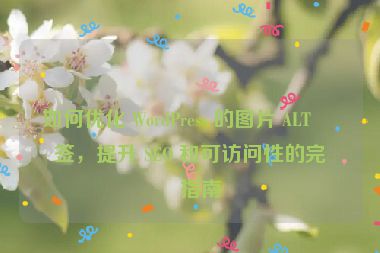 如何優(yōu)化 WordPress 的圖片 ALT 標(biāo)簽，提升 SEO 和可訪(fǎng)問(wèn)性的完整指南