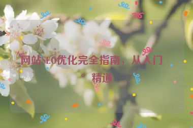 網(wǎng)站SEO優(yōu)化完全指南，從入門到精通