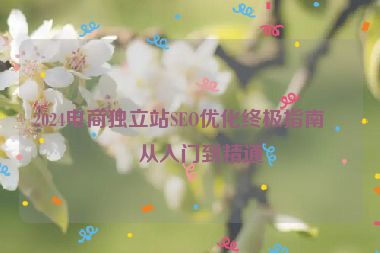 2024電商獨(dú)立站SEO優(yōu)化終極指南，從入門到精通