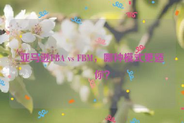 亞馬遜FBA vs FBM，哪種模式更適合你？