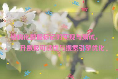 結(jié)構(gòu)化數(shù)據(jù)標(biāo)記的實(shí)現(xiàn)與測試，提升數(shù)據(jù)可讀性與搜索引擎優(yōu)化
