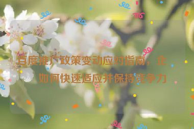 百度推廣政策變動應(yīng)對指南，企業(yè)如何快速適應(yīng)并保持競爭力