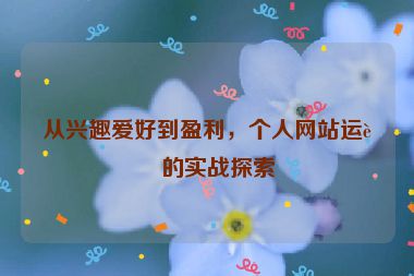 從興趣愛(ài)好到盈利，個(gè)人網(wǎng)站運(yùn)營(yíng)的實(shí)戰(zhàn)探索