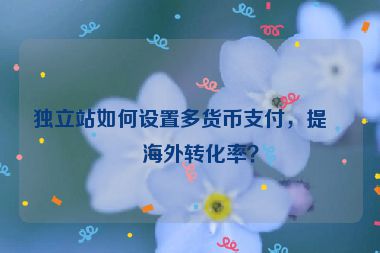 獨(dú)立站如何設(shè)置多貨幣支付，提升海外轉(zhuǎn)化率？