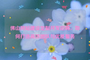 佛山網(wǎng)站建設(shè)定制開發(fā)招聘，如何打造高效團(tuán)隊(duì)與優(yōu)質(zhì)服務(wù)