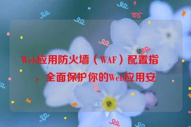 Web應(yīng)用防火墻（WAF）配置指南，全面保護(hù)你的Web應(yīng)用安全