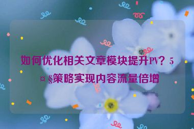 如何優(yōu)化相關(guān)文章模塊提升PV？5大策略實現(xiàn)內(nèi)容流量倍增