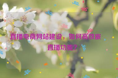 直播電商網(wǎng)站建設，如何高效嵌入直播功能？