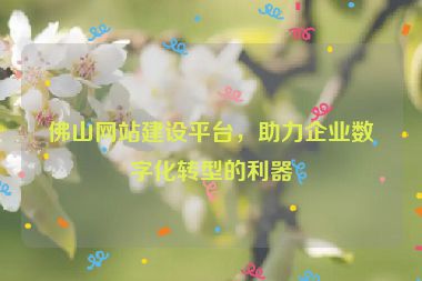 佛山網(wǎng)站建設平臺，助力企業(yè)數(shù)字化轉型的利器