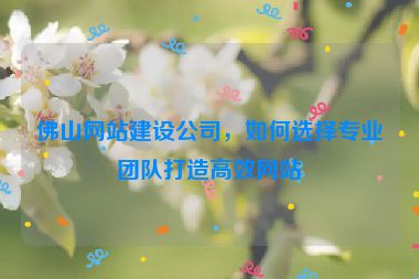 佛山網(wǎng)站建設公司，如何選擇專業(yè)團隊打造高效網(wǎng)站