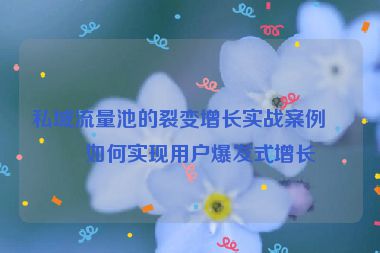 私域流量池的裂變增長實戰(zhàn)案例，如何實現(xiàn)用戶爆發(fā)式增長