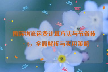 國際物流運費計算方法與節(jié)省技巧，全面解析與實用策略