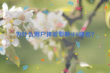 為什么用戶體驗(yàn)影響SEO排名？