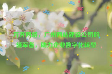 萬齊網(wǎng)絡(luò)，廣州網(wǎng)站建設(shè)公司的領(lǐng)軍者，助力企業(yè)數(shù)字化轉(zhuǎn)型