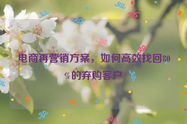 電商再營銷方案，如何高效找回80%的棄購客戶
