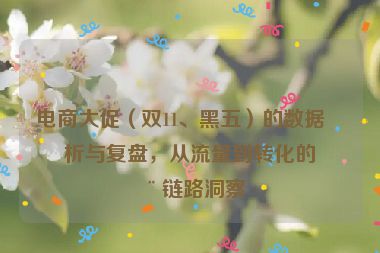 電商大促（雙11、黑五）的數(shù)據(jù)分析與復(fù)盤，從流量到轉(zhuǎn)化的全鏈路洞察