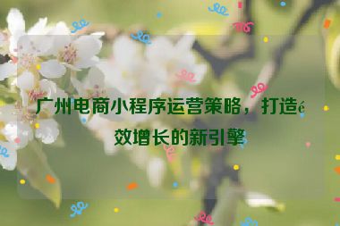 廣州電商小程序運(yùn)營(yíng)策略，打造高效增長(zhǎng)的新引擎