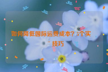 如何降低國際運費成本？5個實用技巧