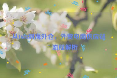 從1688到海外倉，外貿(mào)電商供應鏈全流程解析