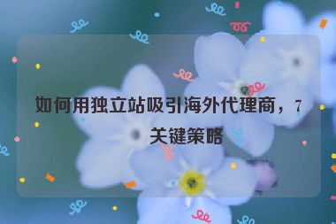 如何用獨(dú)立站吸引海外代理商，7個(gè)關(guān)鍵策略
