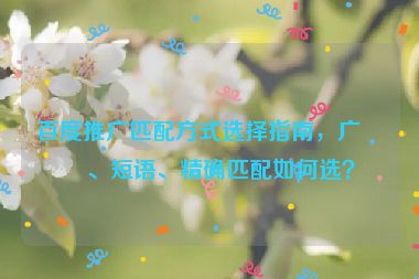 百度推廣匹配方式選擇指南，廣泛、短語(yǔ)、精確匹配如何選？