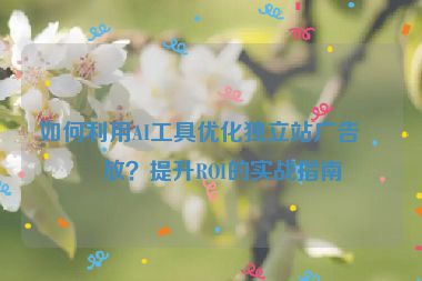 如何利用AI工具優(yōu)化獨(dú)立站廣告投放？提升ROI的實(shí)戰(zhàn)指南