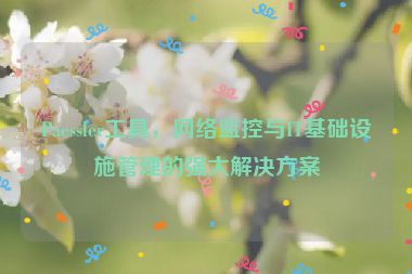 Paessler工具，網(wǎng)絡(luò)監(jiān)控與IT基礎(chǔ)設(shè)施管理的強(qiáng)大解決方案