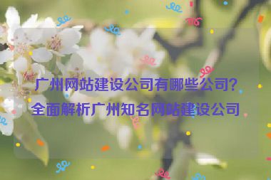 廣州網(wǎng)站建設(shè)公司有哪些公司？全面解析廣州知名網(wǎng)站建設(shè)公司