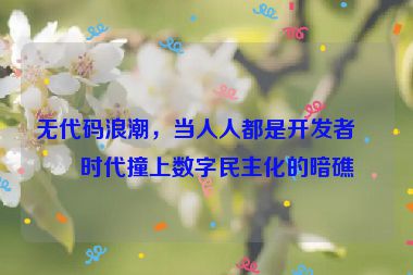 無(wú)代碼浪潮，當(dāng)人人都是開(kāi)發(fā)者的時(shí)代撞上數(shù)字民主化的暗礁