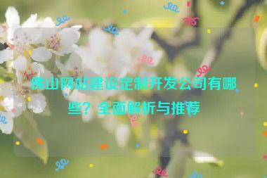 佛山網(wǎng)站建設(shè)定制開發(fā)公司有哪些？全面解析與推薦