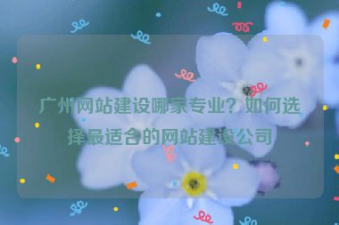 廣州網(wǎng)站建設(shè)哪家專業(yè)？如何選擇最適合的網(wǎng)站建設(shè)公司