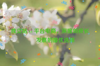 獨(dú)立站 vs 平臺電商，深度剖析長期發(fā)展的最優(yōu)選擇