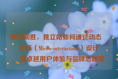 細(xì)節(jié)制勝，獨立站如何通過動態(tài)微交互（Micro-interactions）設(shè)計打造卓越用戶體驗與品牌忠誠度