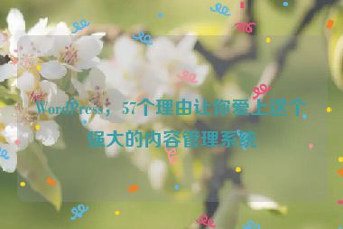 WordPress，57個(gè)理由讓你愛上這個(gè)強(qiáng)大的內(nèi)容管理系統(tǒng)