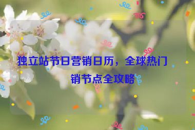 獨(dú)立站節(jié)日營(yíng)銷日歷，全球熱門促銷節(jié)點(diǎn)全攻略