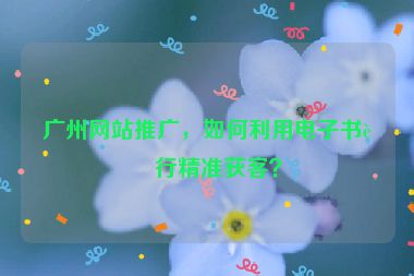 廣州網(wǎng)站推廣，如何利用電子書進行精準獲客？