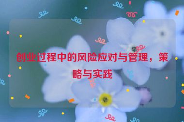 創(chuàng)業(yè)過(guò)程中的風(fēng)險(xiǎn)應(yīng)對(duì)與管理，策略與實(shí)踐