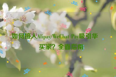 如何接入Alipay/WeChat Pay吸引華人買家？全面指南
