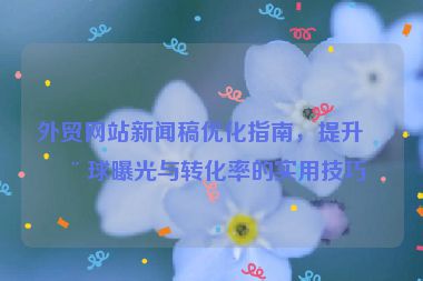 外貿(mào)網(wǎng)站新聞稿優(yōu)化指南，提升全球曝光與轉(zhuǎn)化率的實(shí)用技巧