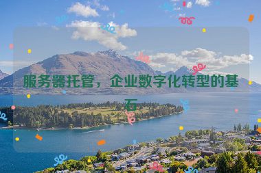 服務(wù)器托管，企業(yè)數(shù)字化轉(zhuǎn)型的基石