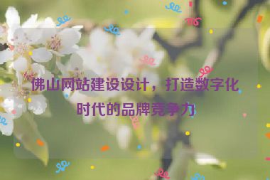佛山網(wǎng)站建設(shè)設(shè)計，打造數(shù)字化時代的品牌競爭力