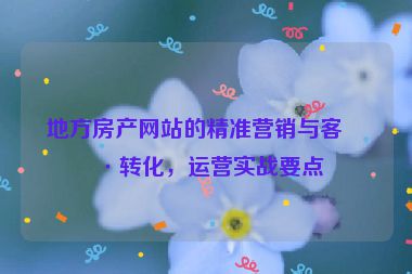 地方房產(chǎn)網(wǎng)站的精準(zhǔn)營銷與客戶轉(zhuǎn)化，運(yùn)營實(shí)戰(zhàn)要點(diǎn)
