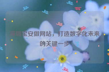 深圳寶安做網(wǎng)站，打造數(shù)字化未來(lái)的關(guān)鍵一步