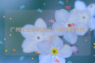 廣州企業(yè)如何通過A/B測試提升轉(zhuǎn)化率？