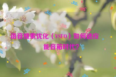 語音搜索優(yōu)化（VSEO）如何適應(yīng)智能音箱時(shí)代？
