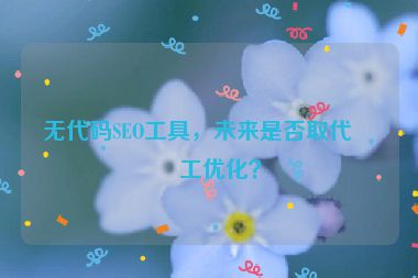 無代碼SEO工具，未來是否取代人工優(yōu)化？