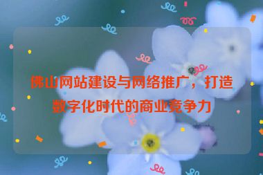 佛山網(wǎng)站建設(shè)與網(wǎng)絡(luò)推廣，打造數(shù)字化時(shí)代的商業(yè)競(jìng)爭(zhēng)力