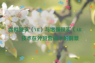 虛擬現(xiàn)實(shí)（VR）與增強(qiáng)現(xiàn)實(shí)（AR）技術(shù)在外貿(mào)營銷中的前景