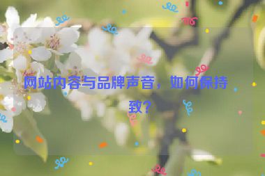 網(wǎng)站內(nèi)容與品牌聲音，如何保持一致？